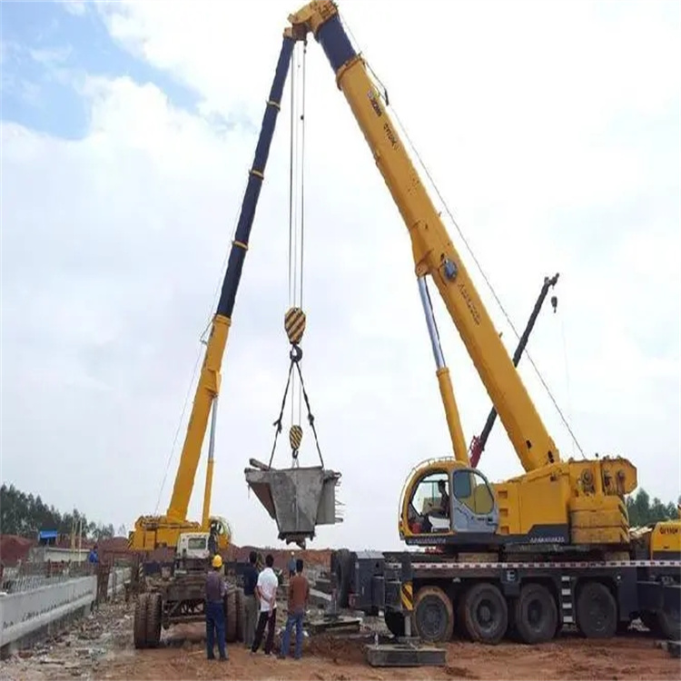 八步小型吊机出租电话|厂房设备吊装方案|24小时服务覆盖