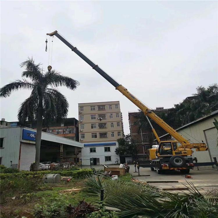 八步吊车吊大树几种方法